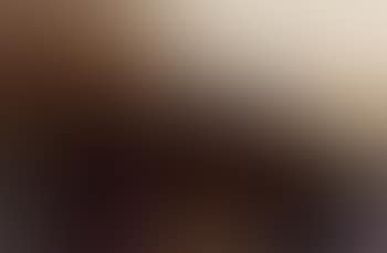 Birch wood, autumn evening (preview)