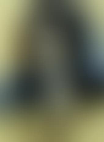 Portrait of lady (preview)