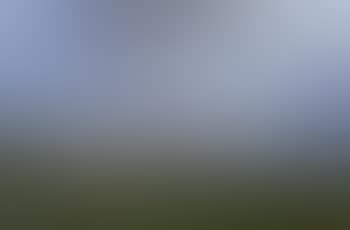 Dune landscape near Knokke (preview)