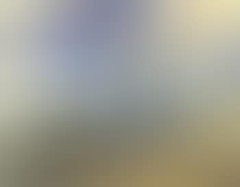 Trees in a landscape (preview)