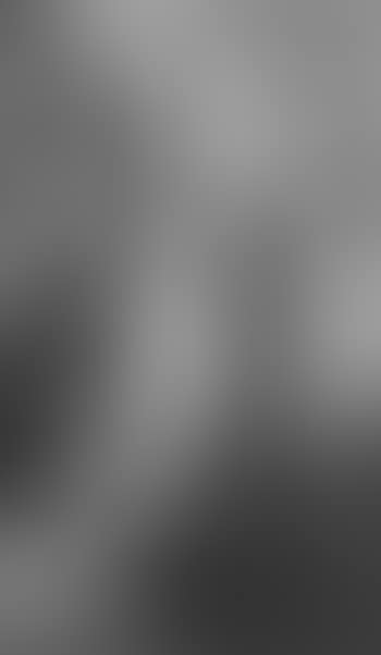 Pious reflections (preview)