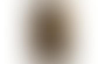 Head of a man. Reclining female nude (preview)