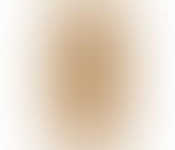 Study of a nude (preview)