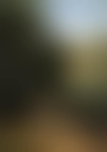 Landscape with rustics meeting on a path (preview)