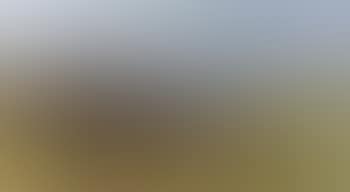 Landscapes (preview)