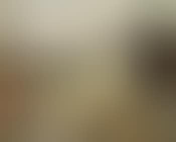 Marseilles landscape (preview)