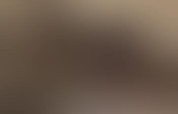 Yr Eifl (preview)