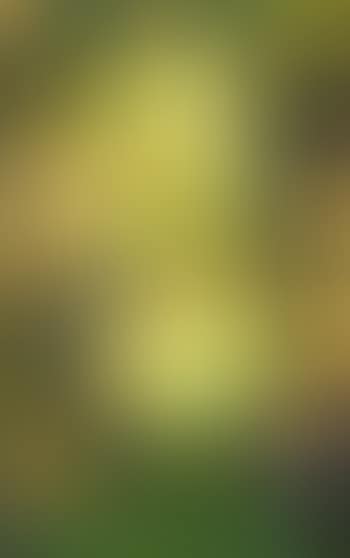 Green mask (preview)