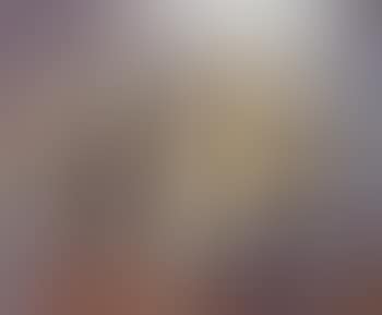 Still life with pigeon (preview)