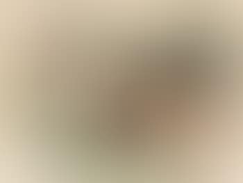 Tiere in der landschaft (preview)