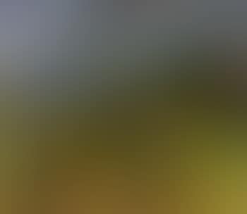 Ernte (preview)