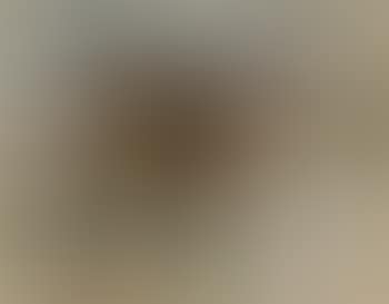 Oiseau (preview)