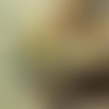 Dalhias et marguerite (preview)