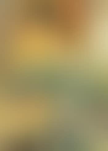 Lady with flowers (preview)
