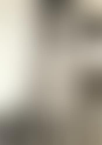 Landscape composition (preview)