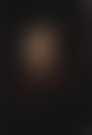 Portrait of bearded gentleman in black cloak with gold chain (preview)