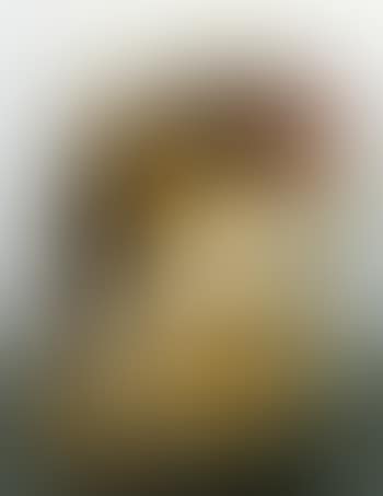 Letzte lockerung (preview)