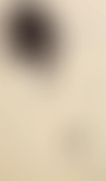 Composition 5 (preview)