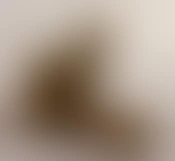 Phallic object (preview)