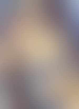 Modele nu assis (preview)