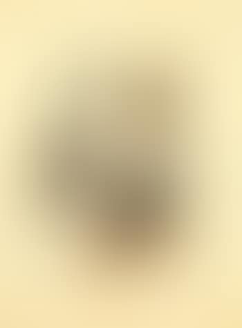 Still life with Chinese table (preview)