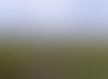 Extensive landscape with figures on field-path (preview)