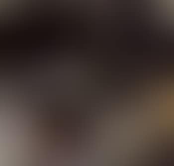 Still life (preview)