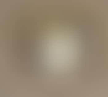 Still life (preview)