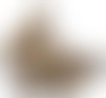 Rabbit (preview)