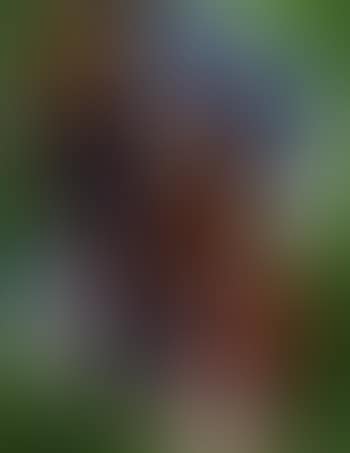 Voodoo (preview)