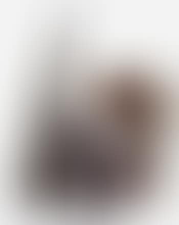 Head fragment (preview)