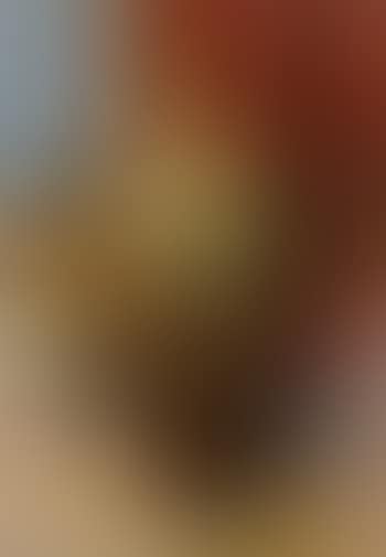 Portrait of Mrs Bertha Brandstrup seated in interior (preview)