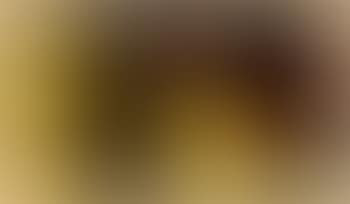 Auti te pape (preview)