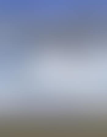 Shoalhaven riverbank and large stone (preview)
