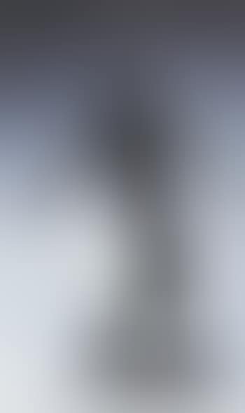 Tanzer Nijinsky (preview)