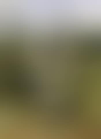 Girl with herd of sheep in mountains (preview)
