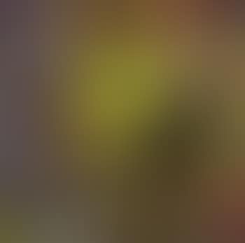 Abstraction (preview)