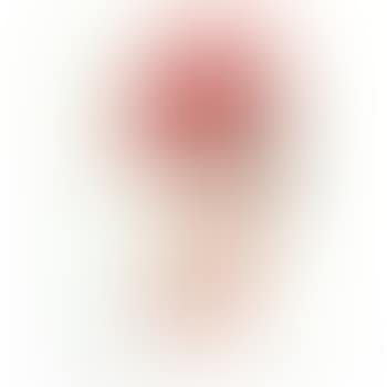 Capric 1 (preview)