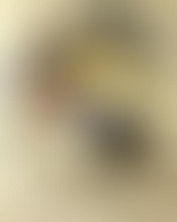 Untitled (preview)