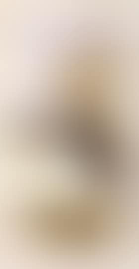 Portrait of a woman cotton picker (preview)