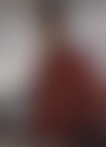 Portrait of Felix Timmermans (preview)
