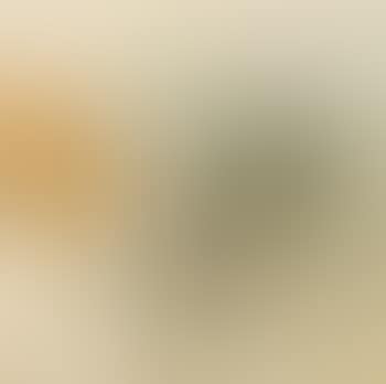 Linear image 7 (preview)