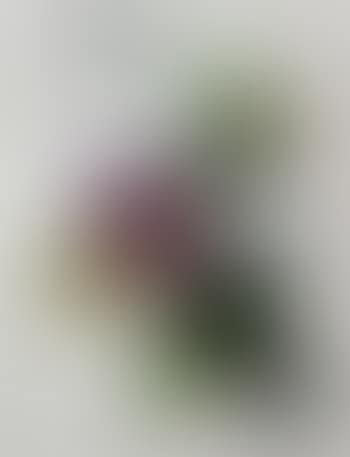Composition X1 (preview)