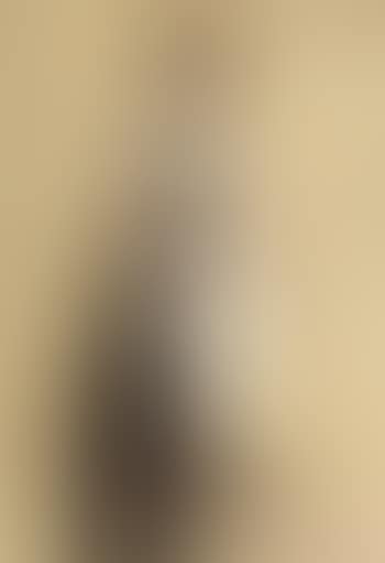 Lady in waiting to Queen Victoria (preview)