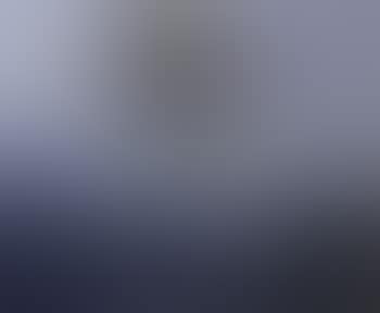 In the trade winds (preview)