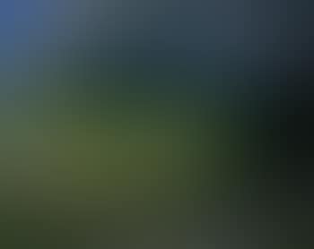 Farm in an orchard (preview)