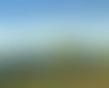Early September, Oxtongue Lake (preview)