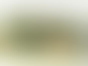 Hilly summer landscape with isolated houses (preview)