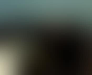 Still life with frying pan (preview)