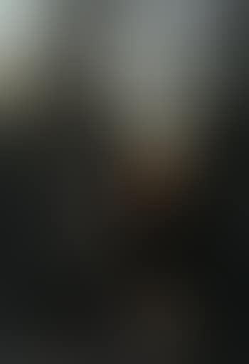 Birch forest at sunset (preview)